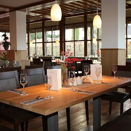 施灵格斯霍夫酒店 酒店 4*